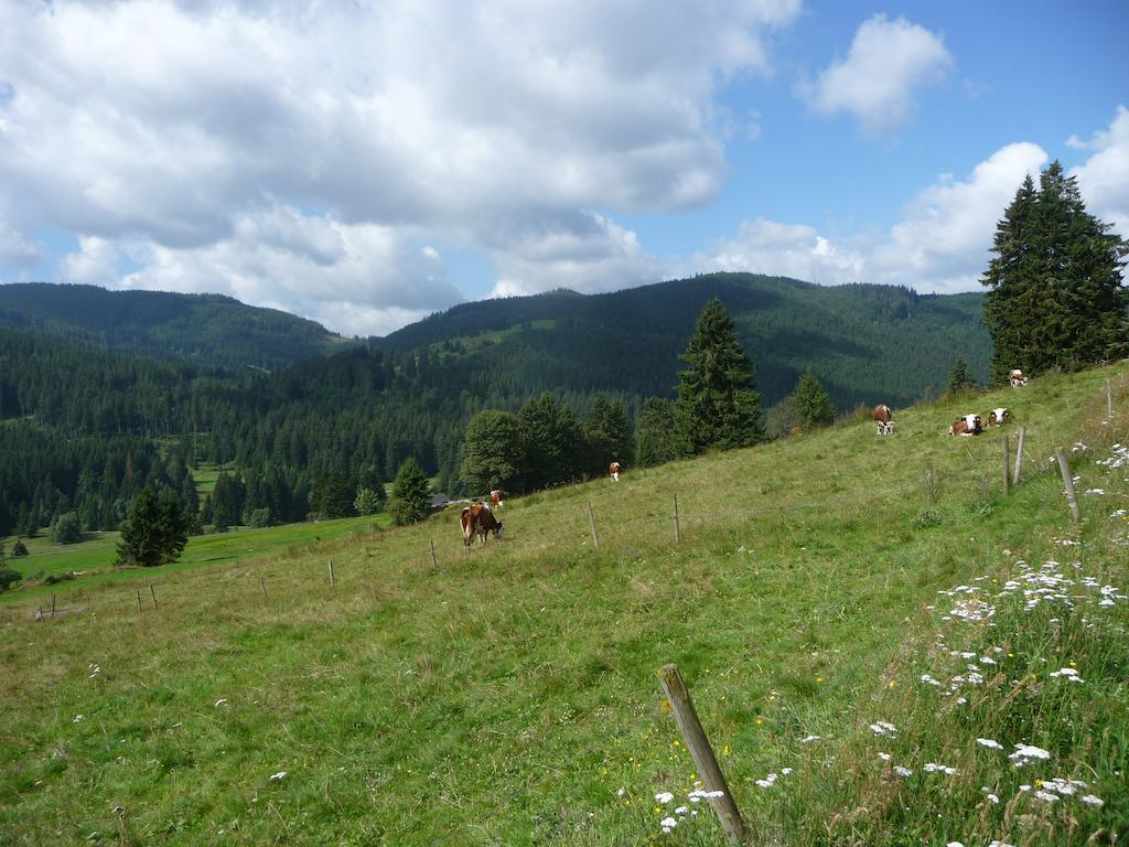 Bio- Und Wellnesshotel Alpenblick Hoechenschwand Exterior photo