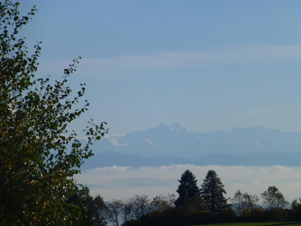 Bio- Und Wellnesshotel Alpenblick Hoechenschwand Exterior photo